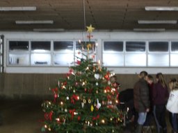 img_0682_web